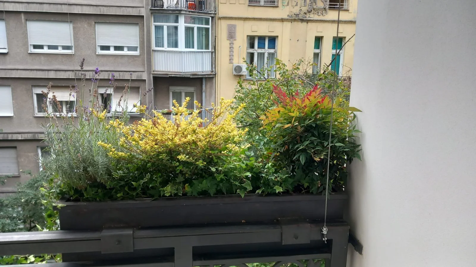 Uređenje eksterijera - slika 23